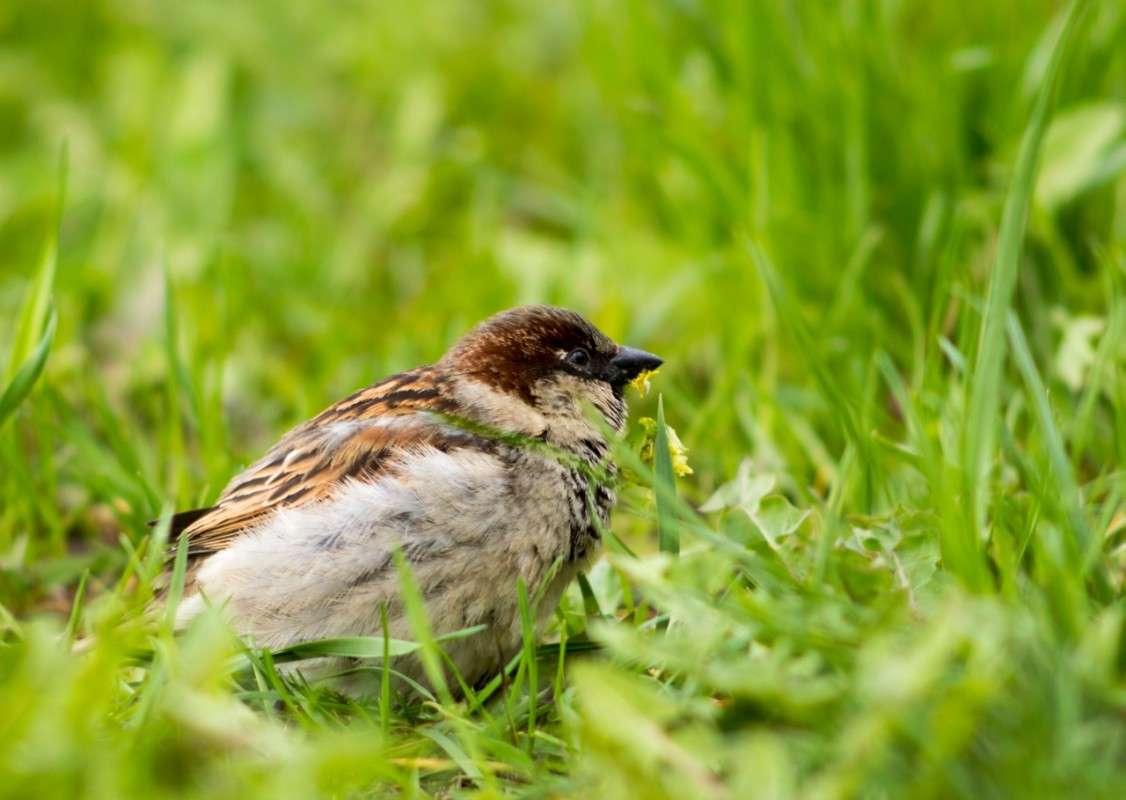 ����� ����� ����� �����  �� PhotoGeek.ru #�������� ��� #������ ��� ������� #����� ��� ��� ��������� #����� ��������