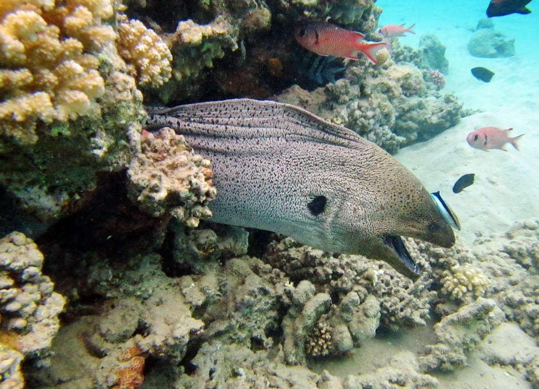 ... ����� ��������� ������� �� PhotoGeek.ru #�������� ���