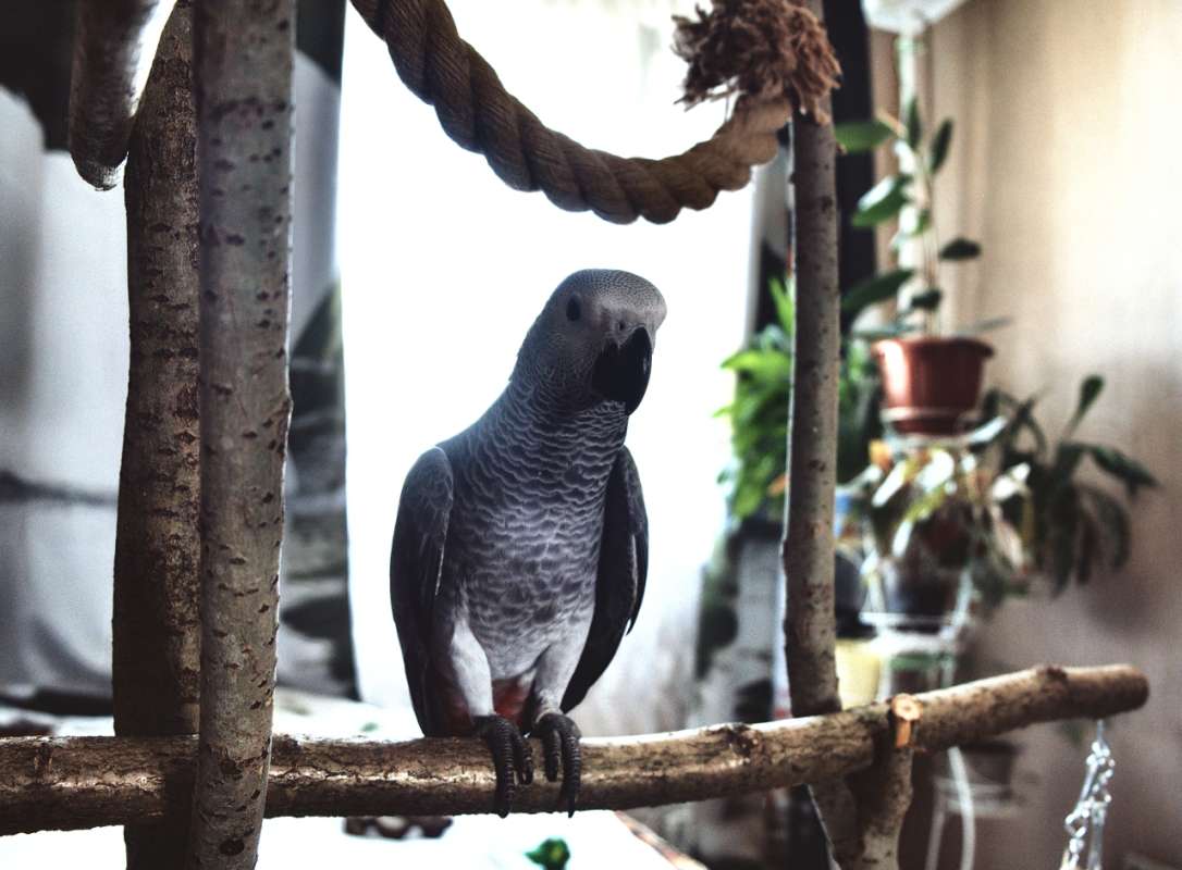 ***** ����� Anna_ice Crystal  �� PhotoGeek.ru #�������� ���