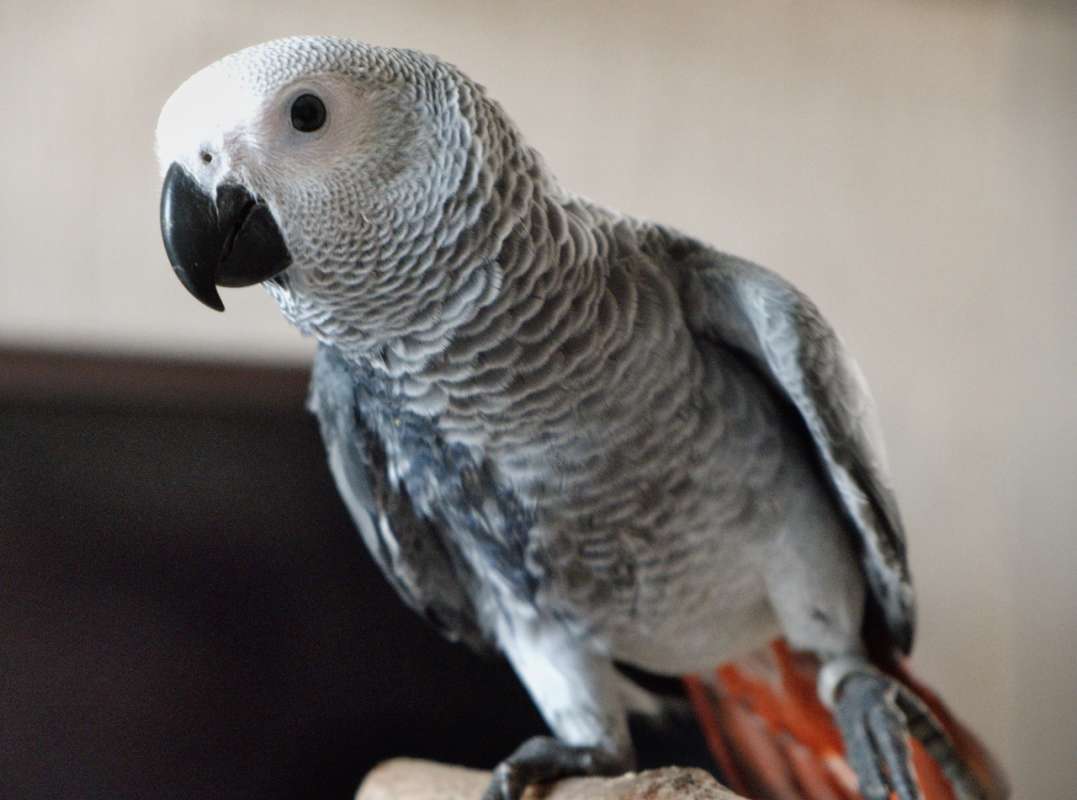 ***** ����� Anna_ice Crystal  �� PhotoGeek.ru #�������� ���