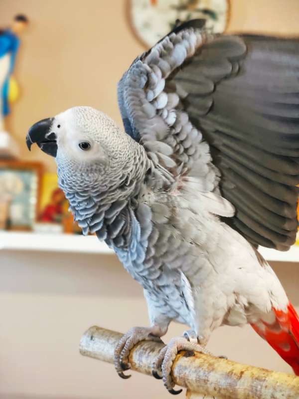 ��������... ����� Anna_ice Crystal  �� PhotoGeek.ru #�������� ���