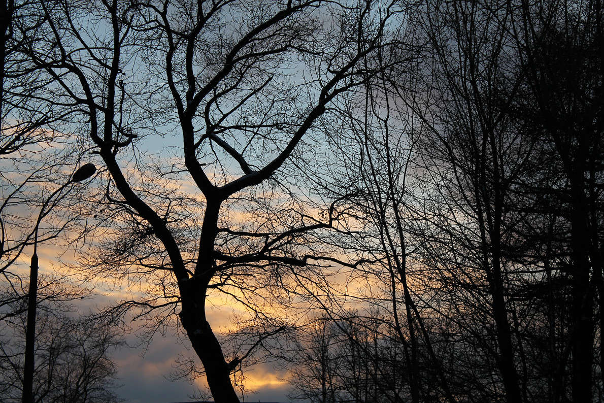 ... ����� �������  �� PhotoGeek.ru #������ ��� �������