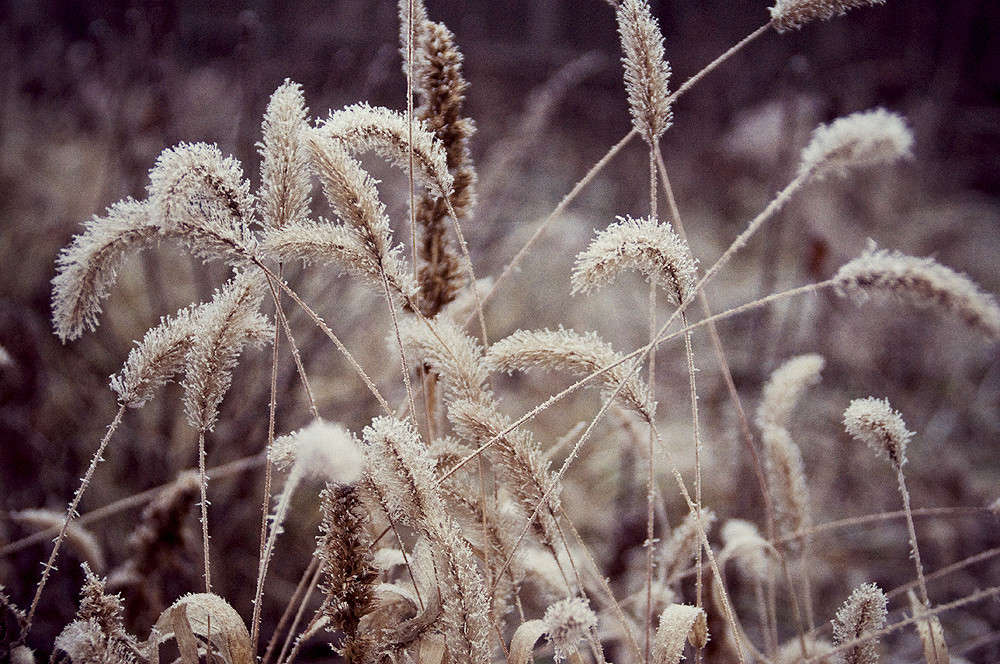 �������� ����� ������� ������ �� PhotoGeek.ru #������ ��� ������� #����� ��������������