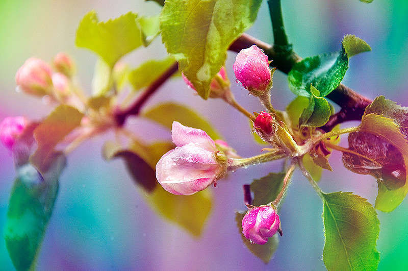 ��������) ����� ������� ������ �� PhotoGeek.ru #����� #����� �������������� #����� ������ ����� ������ ��������