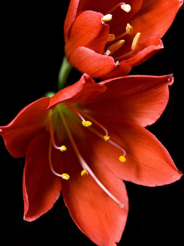 *********** ����� ������� ������ �� PhotoGeek.ru #����� #����� ��������������