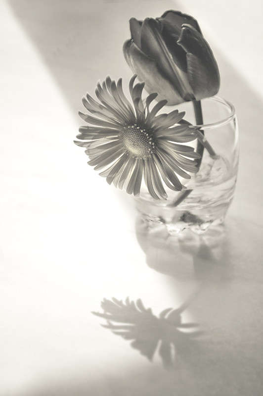 ... ����� ������� ������ �� PhotoGeek.ru #����� �������������� #�����