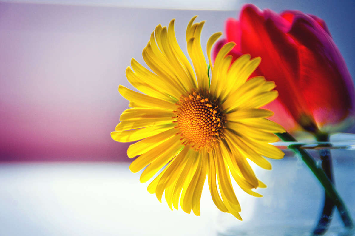 *********** ����� ������� ������ �� PhotoGeek.ru #��������� #����� �������������� #�����