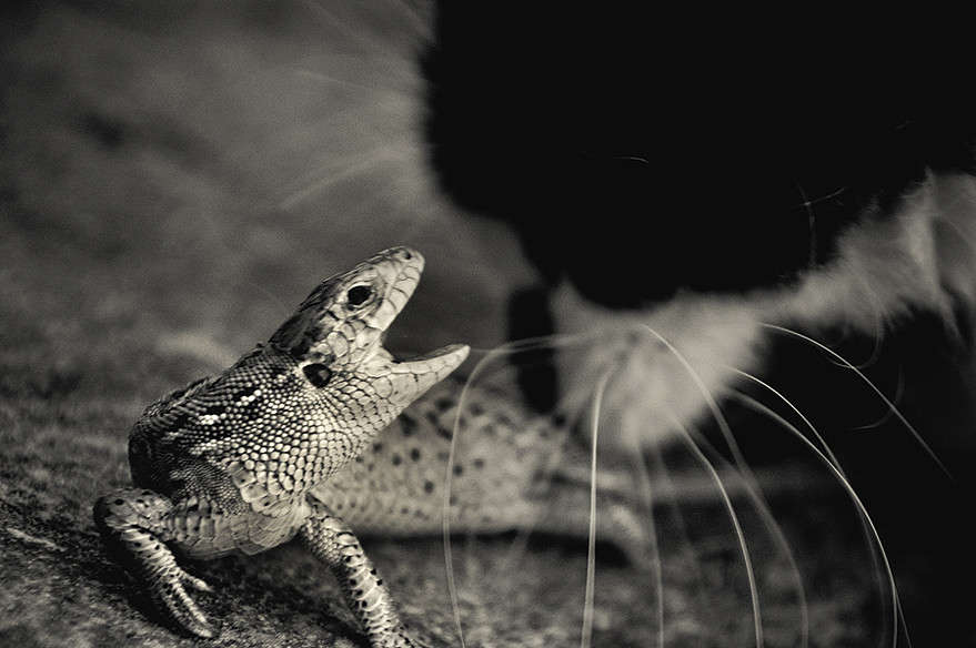 �����, ���� �����))) ����� ������� ������ �� PhotoGeek.ru #�������� ��� #�������� ���������� #�������� ��� #��������������� #�����-�����