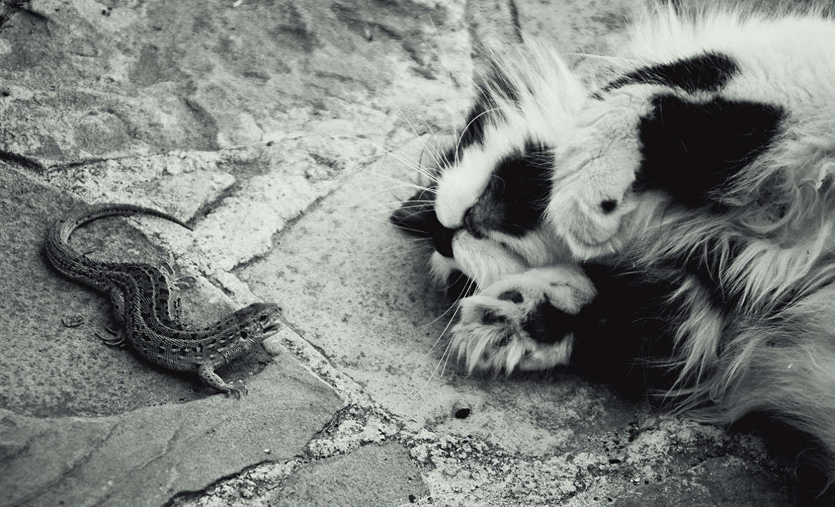 � ����������?! :) ����� ������� ������ �� PhotoGeek.ru #�������� ��� #�������� ���������� #��������������� #�����-�����