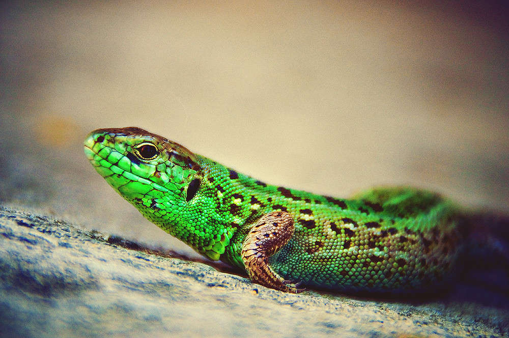 �������) ����� ������� ������ �� PhotoGeek.ru #�������� ��� #����� ��� ��� ���������