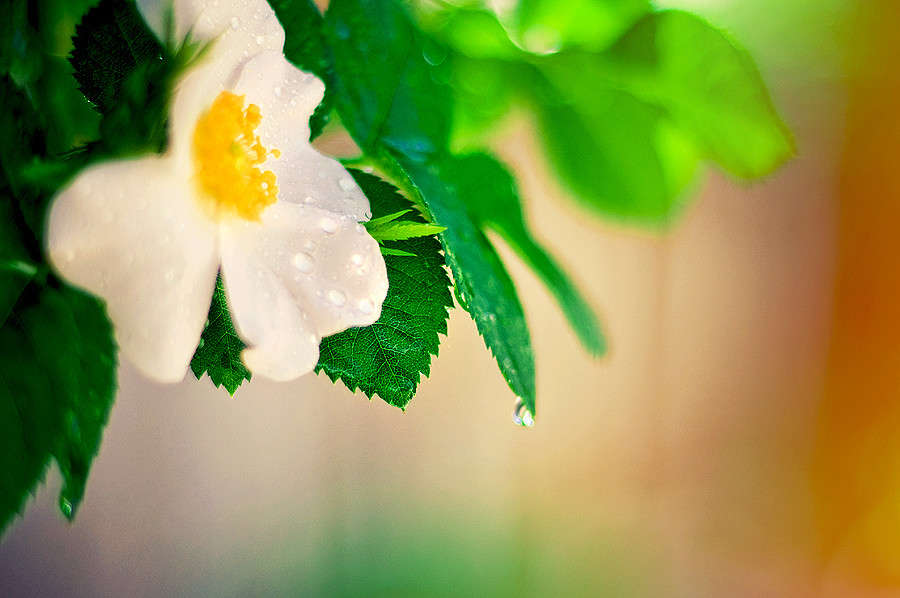 *********** ����� ������� ������ �� PhotoGeek.ru #����� #������ ��� ������� #����� ��������������