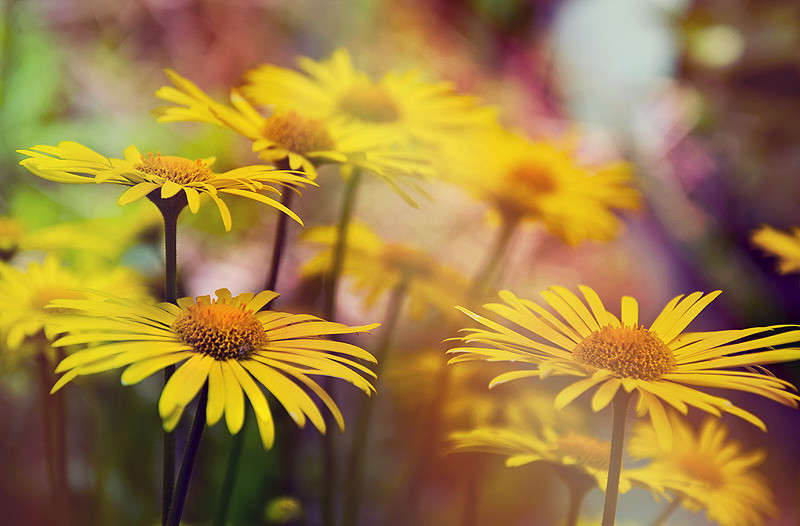 *********** ����� ������� ������ �� PhotoGeek.ru #������ ��� ������� #����� �������������� #�����