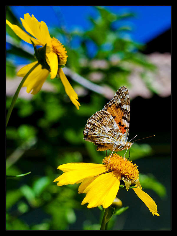 ������... ����� ������� ������ �� PhotoGeek.ru #������ ��� ������� #������� #����� �������������� #����� �������� #�����