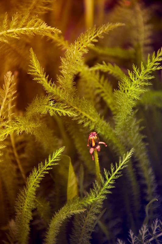 *********** ����� ������� ������ �� PhotoGeek.ru #����� #������ ��� ������� #����� �������������� #�����