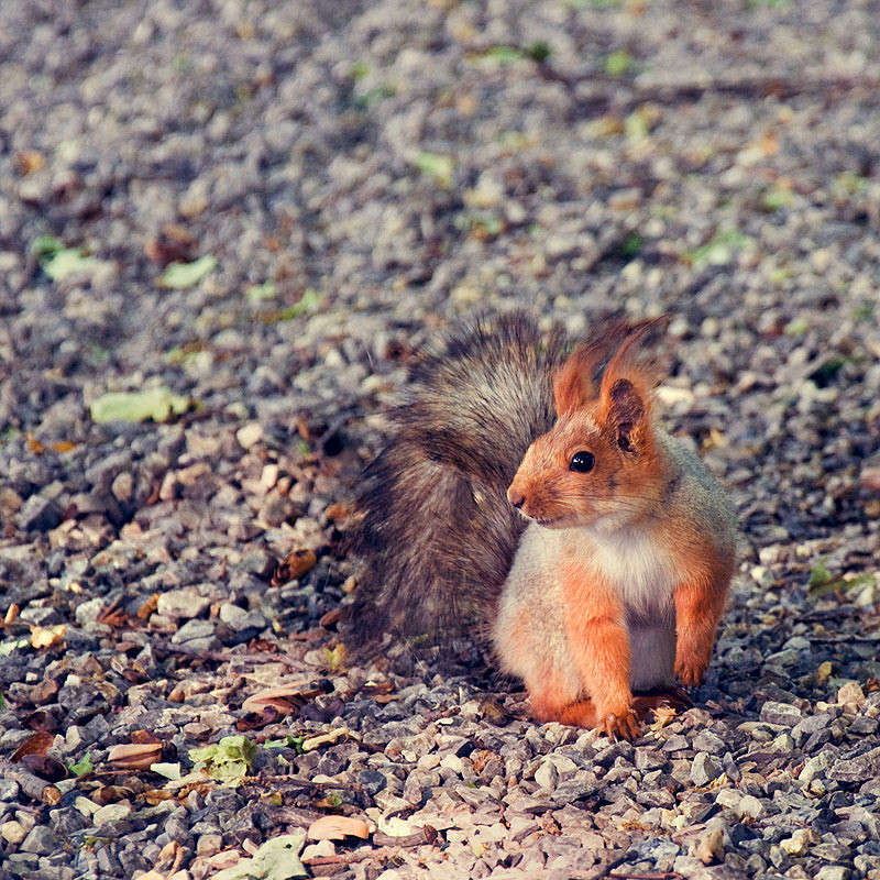 *********** ����� ������� ������ �� PhotoGeek.ru #�������� ��� #����� ��� ��� ���������