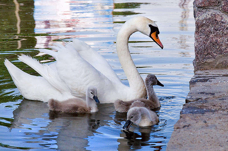 *********** ����� ������� ������ �� PhotoGeek.ru #�������� ��� #�������� ���������� #����� ��� ��� ��������� #���������������