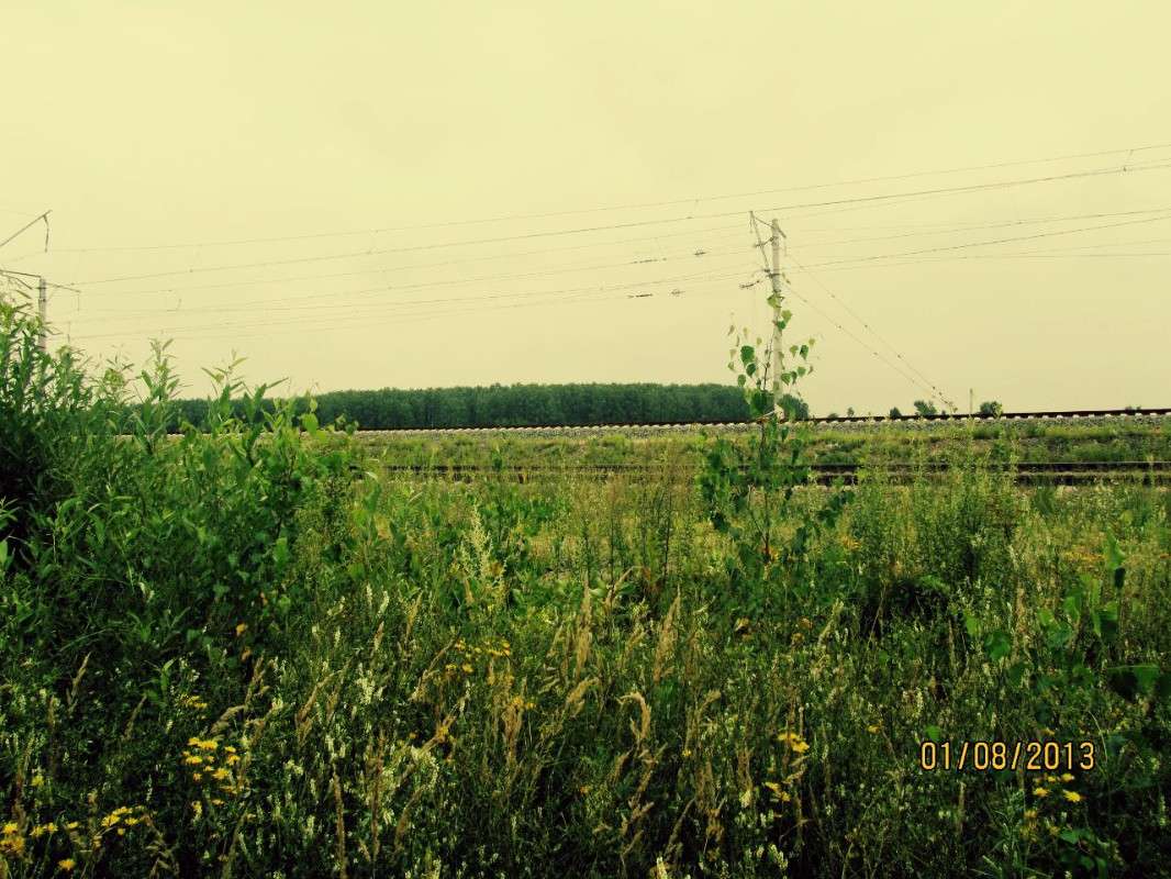 ���������� ������ ����� ������ ����� �� PhotoGeek.ru #������ ��� �������