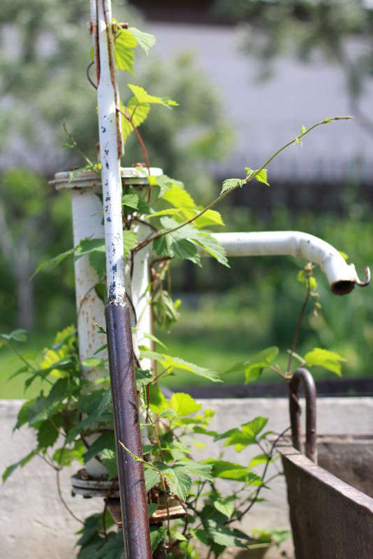 ������ ������ ����� ��� ��������� �� PhotoGeek.ru #��������� #������ ��� ������� #���������