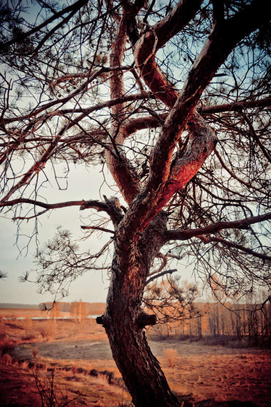 ... ����� ���� ������ �� PhotoGeek.ru #������ ��� �������