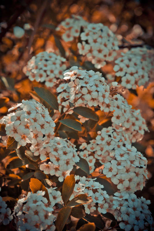 ... ����� ���� ������ �� PhotoGeek.ru