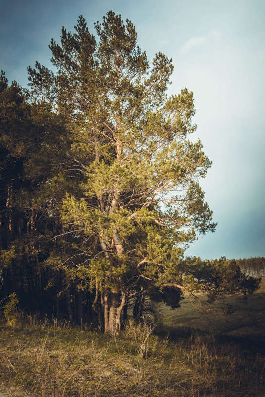 ... ����� ���� ������ �� PhotoGeek.ru #������ ��� �������