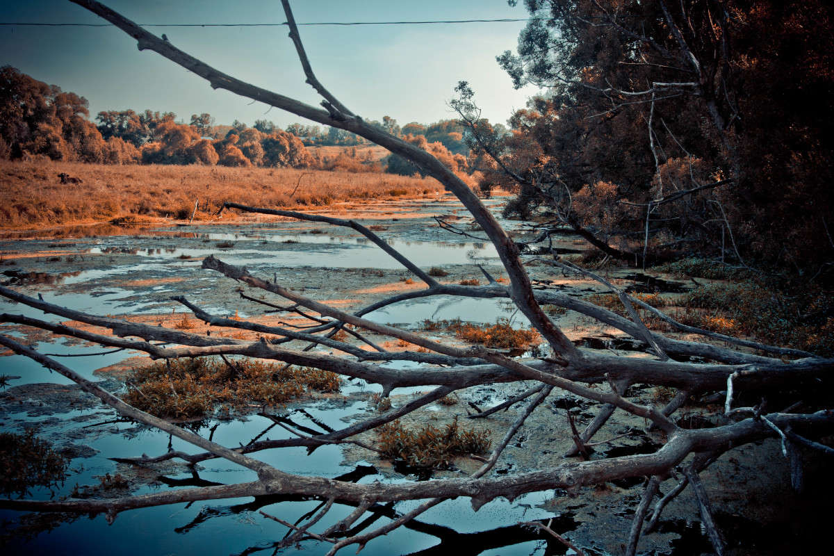 ... ����� ���� ������ �� PhotoGeek.ru #������ ��� �������