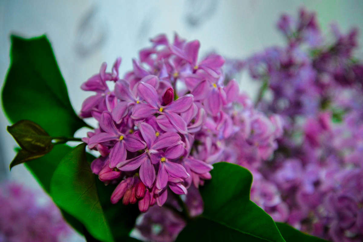 ... ����� ���� ������ �� PhotoGeek.ru #������ ��� �������