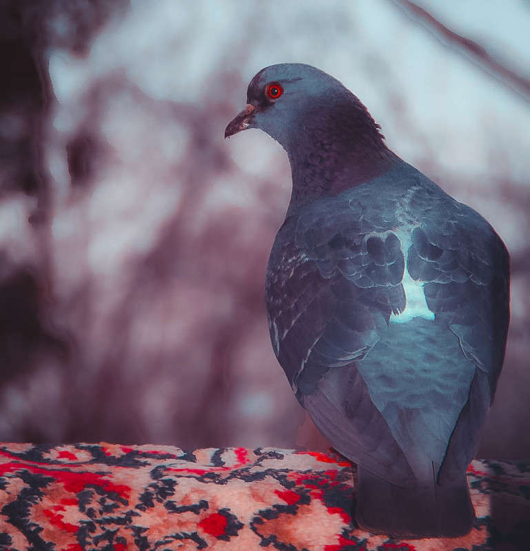 ... ����� ���� ������ �� PhotoGeek.ru #������ ��� �������