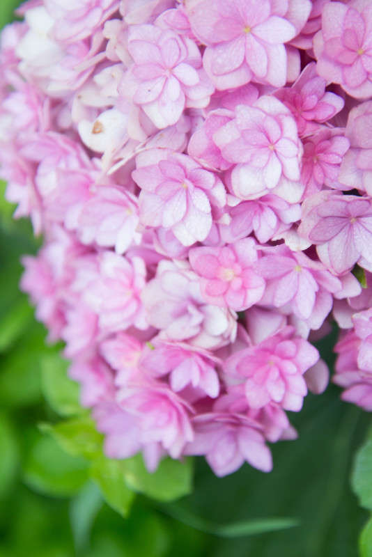 3100 ����� ���� ������ �� PhotoGeek.ru #������ ��� �������