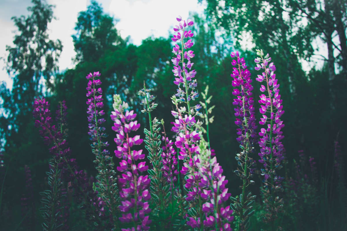 3100 ����� ���� ������ �� PhotoGeek.ru #������ ��� �������