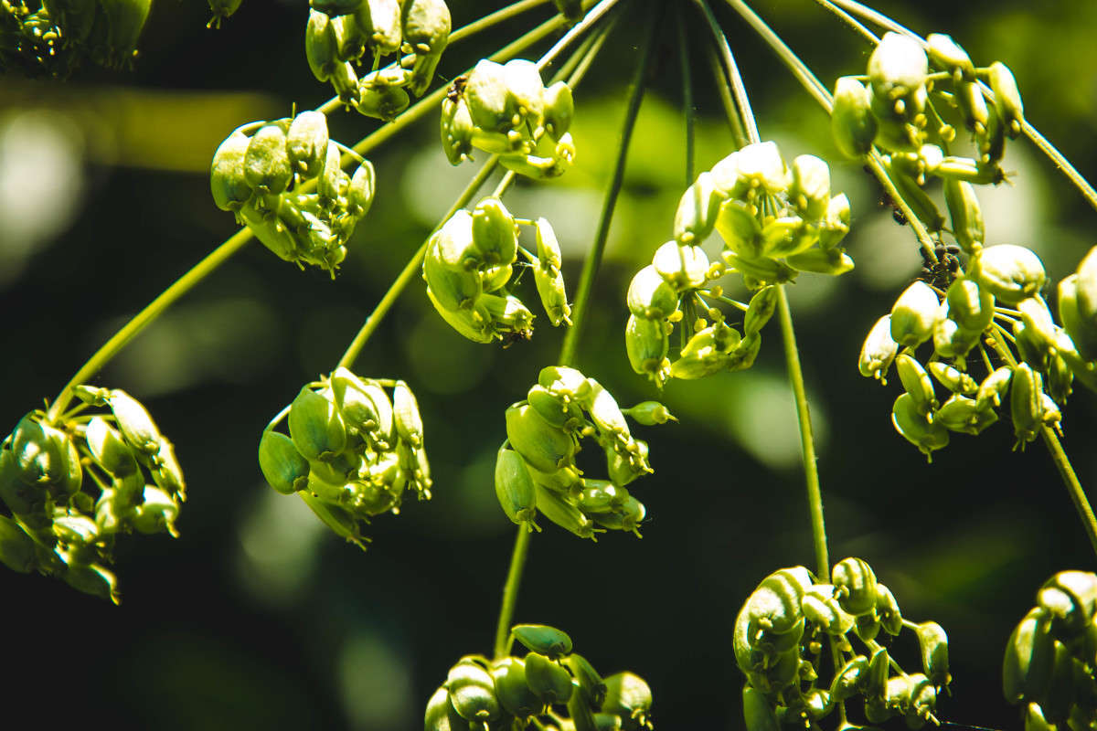 ... ����� ���� ������ �� PhotoGeek.ru #������ ��� �������