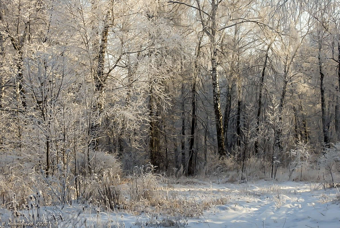 На опушке автор Валерий Миннибаев на PhotoGeek.ru #Зима #Лес #Пейзаж #Природа