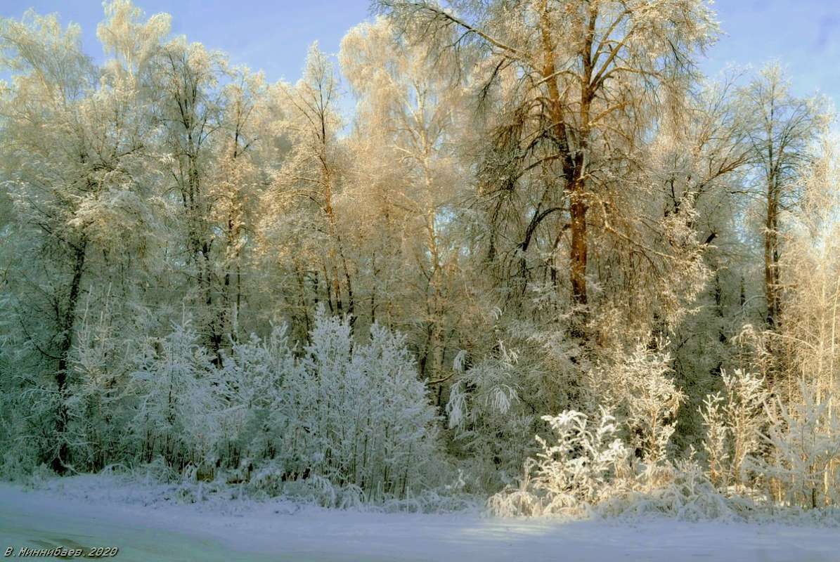Вот такая зима!... автор Валерий Миннибаев на PhotoGeek.ru #Зима #Лес #Пейзаж #Природа
