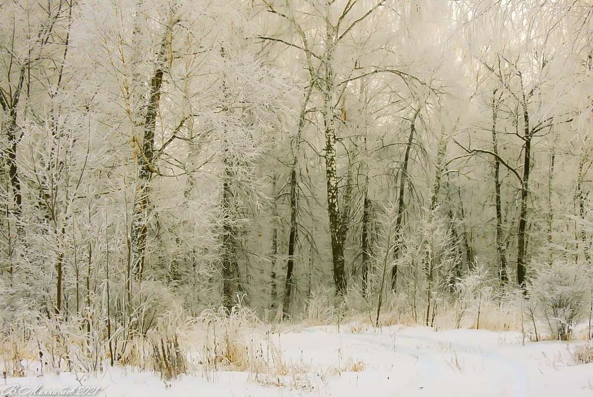 Зимний пейзаж автор Валерий Миннибаев на PhotoGeek.ru #Зима #Лес #Пейзаж #Природа