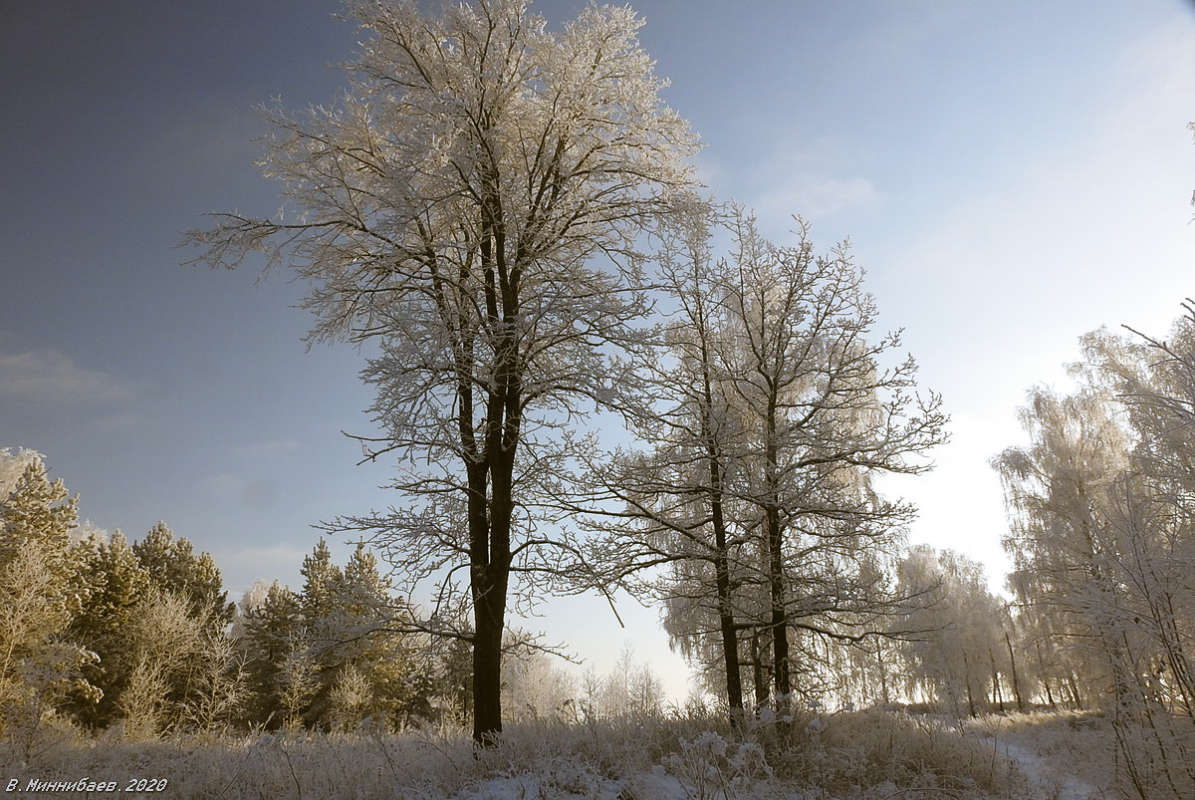 Просто зима.... автор Валерий Миннибаев на PhotoGeek.ru #Зима #Лес #Пейзаж #Природа
