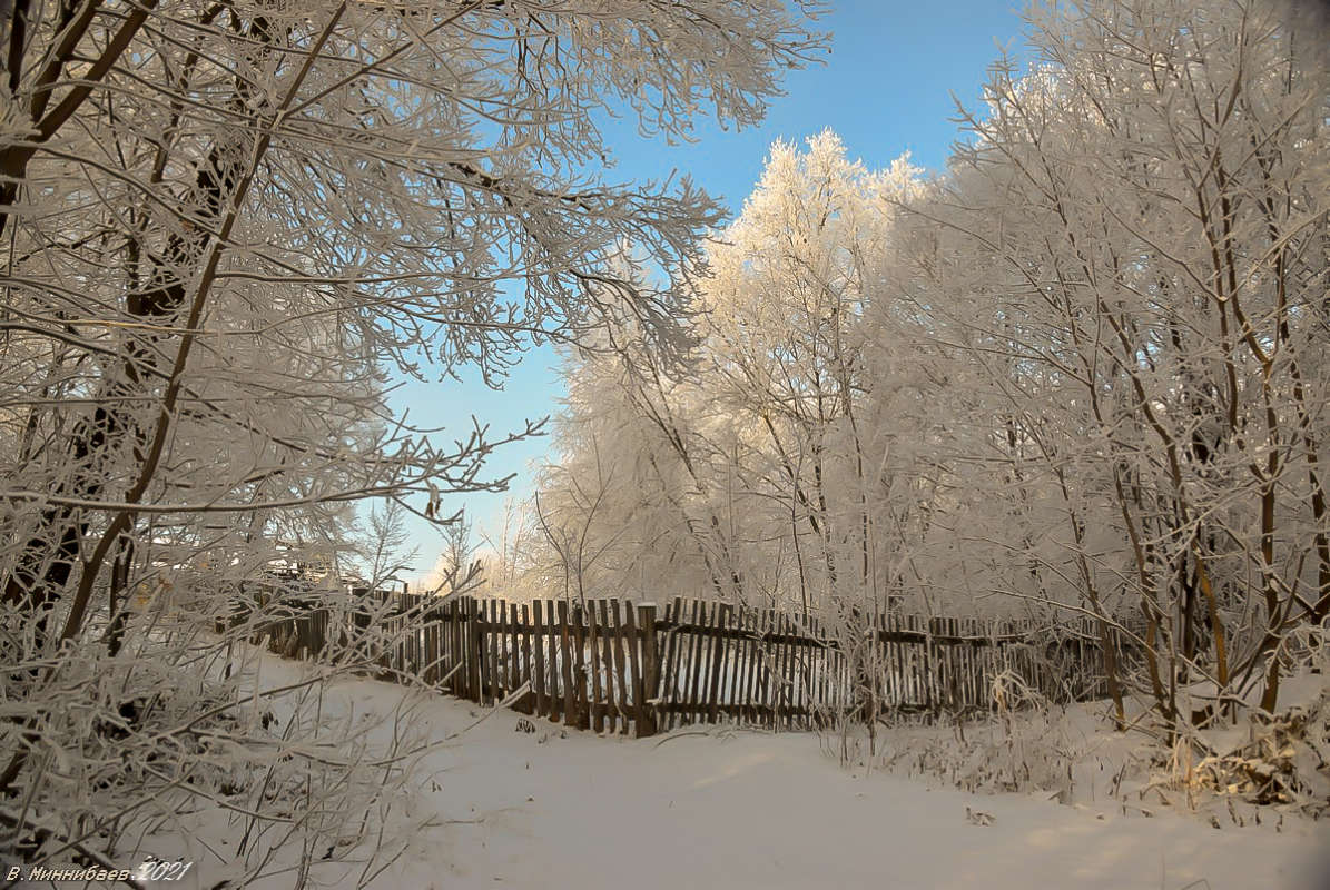 Ограда автор Валерий Миннибаев на PhotoGeek.ru #Зима #Лес #Ограда #Пейзаж