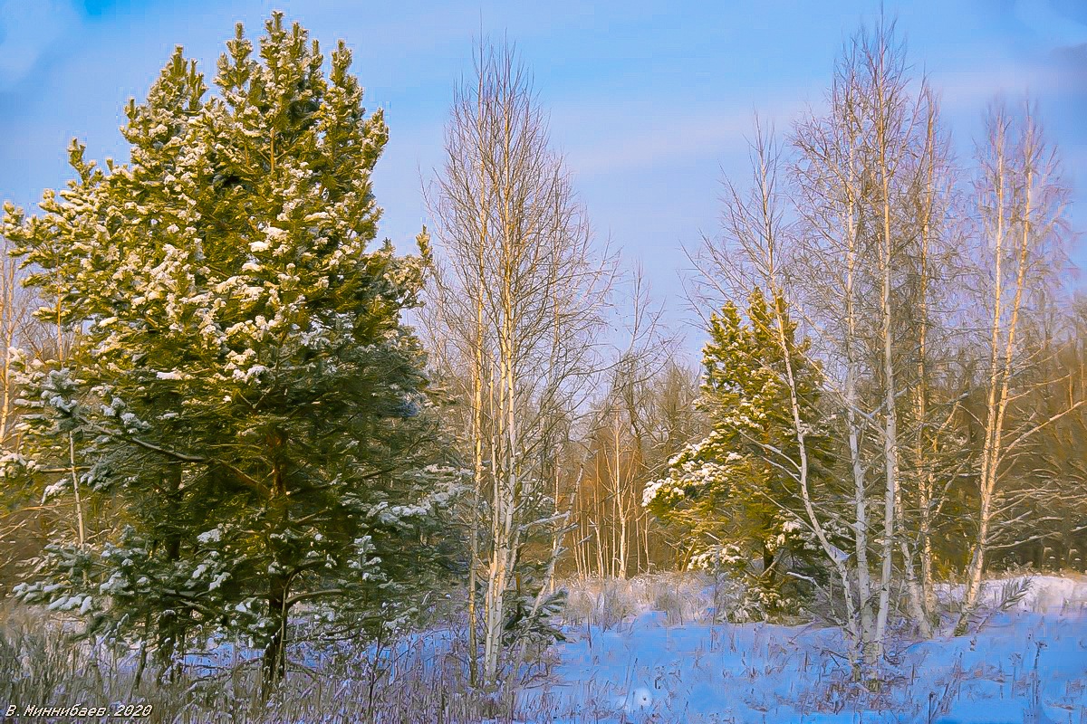 Просто январь автор Валерий Миннибаев на PhotoGeek.ru #Зима #Лес #Пейзаж #Природа