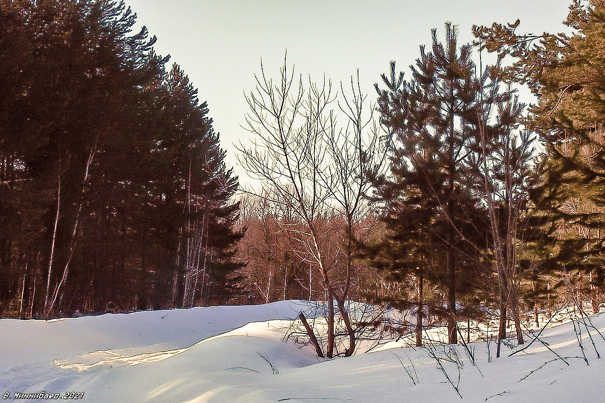 Зима,зима... автор Валерий Миннибаев на PhotoGeek.ru #Зима #Лес #Пейзаж