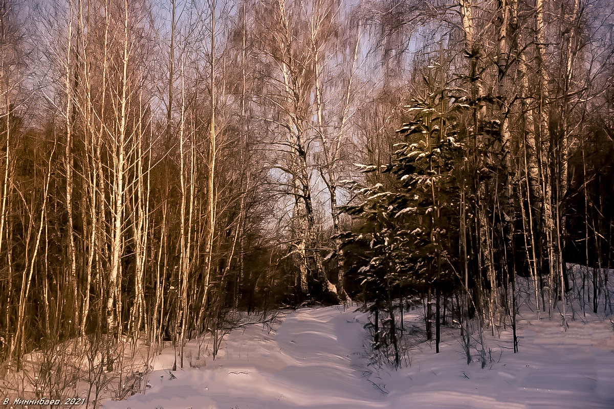 Завтра была весна... автор Валерий Миннибаев на PhotoGeek.ru #Зима #Лес #Пейзаж