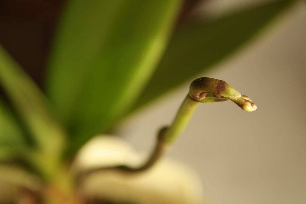 ������� ����� Yuri Chistyakov �� PhotoGeek.ru #������ ��� ������� #����� �������������� #������� #�����