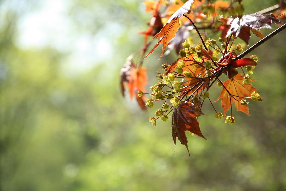 ���� ������... ����� Yuri Chistyakov �� PhotoGeek.ru #������ ��� ������� #����� #����� �������������� #����