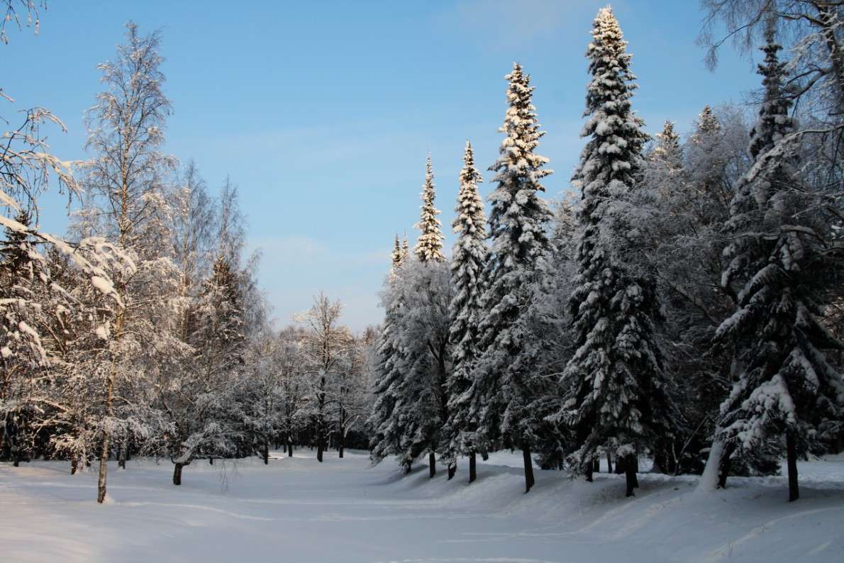 �����������... ����� Yuri Chistyakov �� PhotoGeek.ru #������ ��� �������