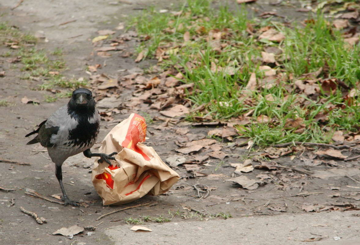 ���������� � ��������... ����� Yuri Chistyakov �� PhotoGeek.ru #�������� ���