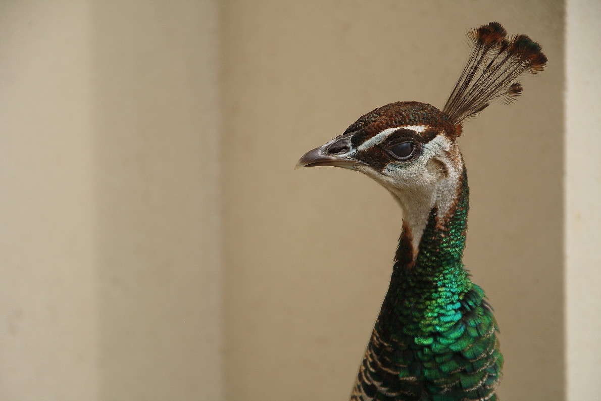 ��������� ����� Yuri Chistyakov �� PhotoGeek.ru #�������� ��� #�����