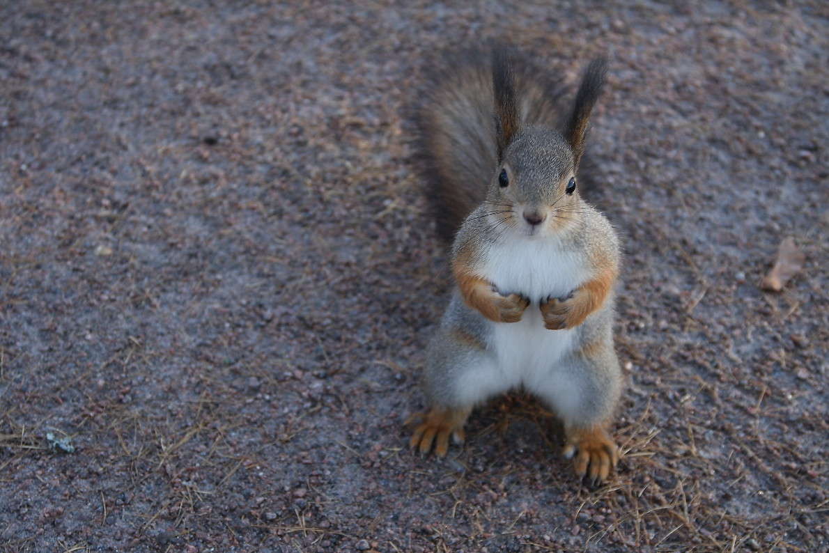 ��� ��� �����?.. ����� Yuri Chistyakov �� PhotoGeek.ru #�������� ��� #���������