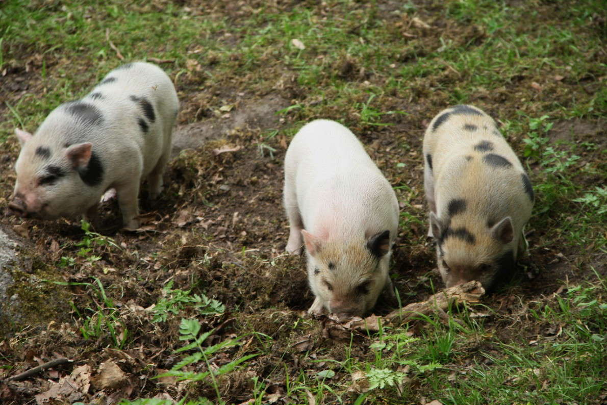 ��� ��������� ����� Yuri Chistyakov �� PhotoGeek.ru #�������� ��� #�������� ���