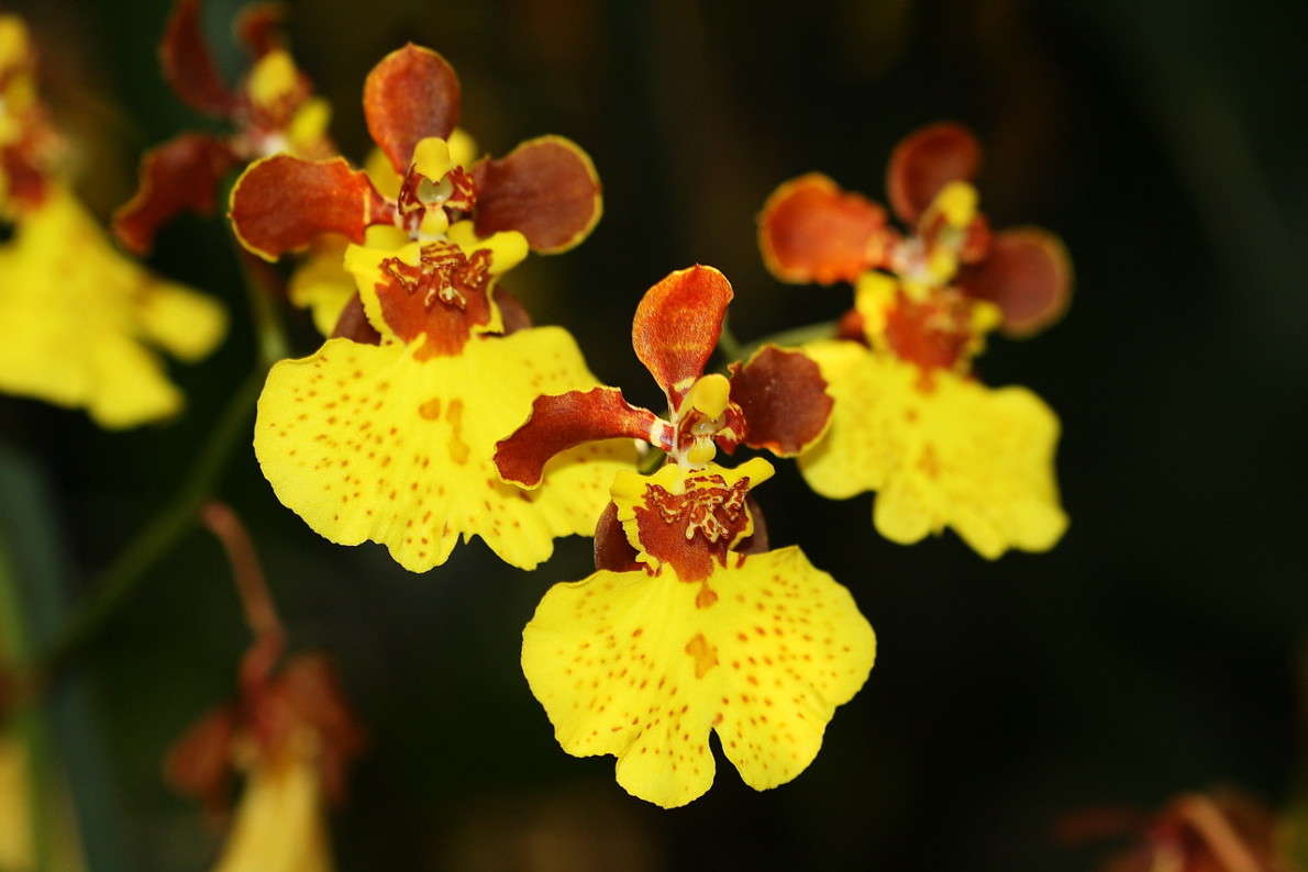 �������� ����� Yuri Chistyakov �� PhotoGeek.ru #����� �������������� #������� #�����