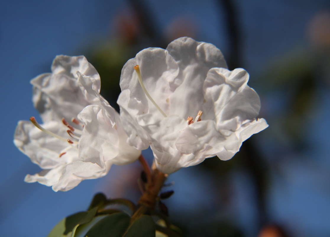 ����������� ����� Yuri Chistyakov �� PhotoGeek.ru #������ ��� ������� #����� #����� �������������� #����������� #�����