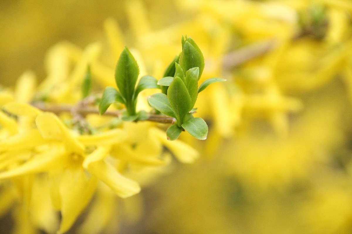 �������� - ������ ����� ������ ����� Yuri Chistyakov �� PhotoGeek.ru #������ ��� ������� #����� #����� �������������� #��������