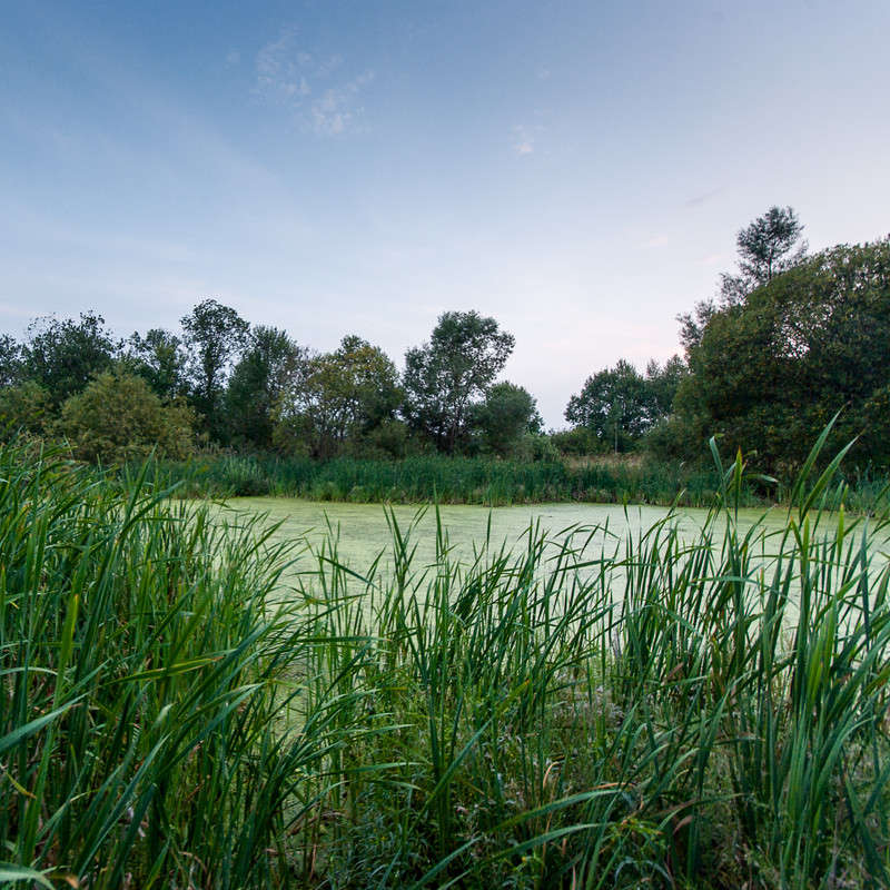 *** ����� �������  �� PhotoGeek.ru #������ ��� �������